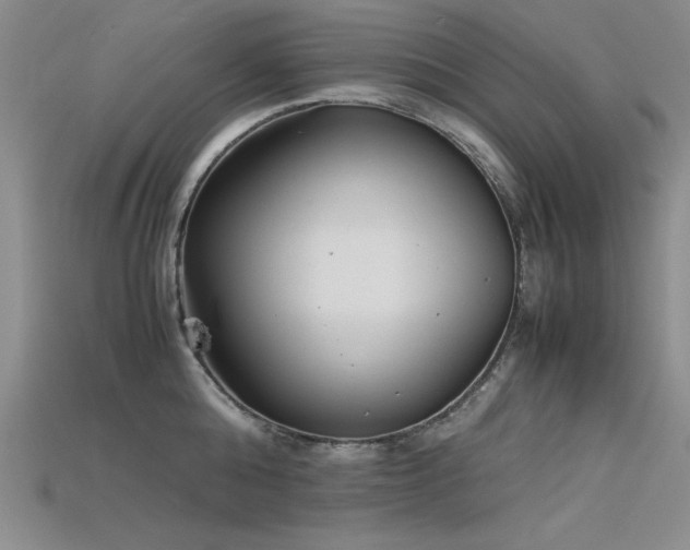 X0000115740808200911121536