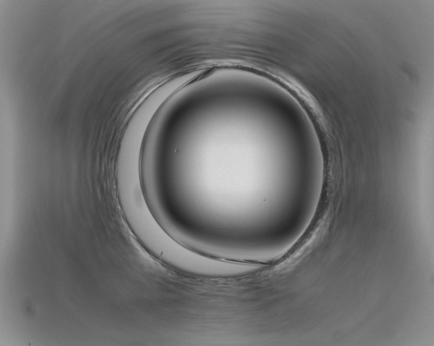 X0000115740809200911121536