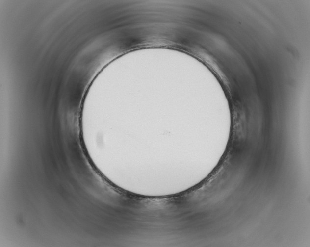 X0000115740810200911121536