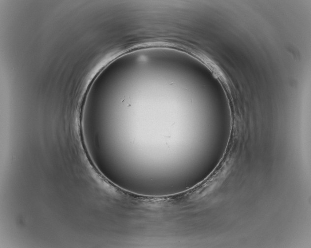 X0000115740813200911121536