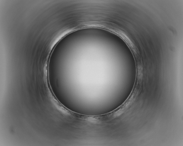 X0000115740814200911121536