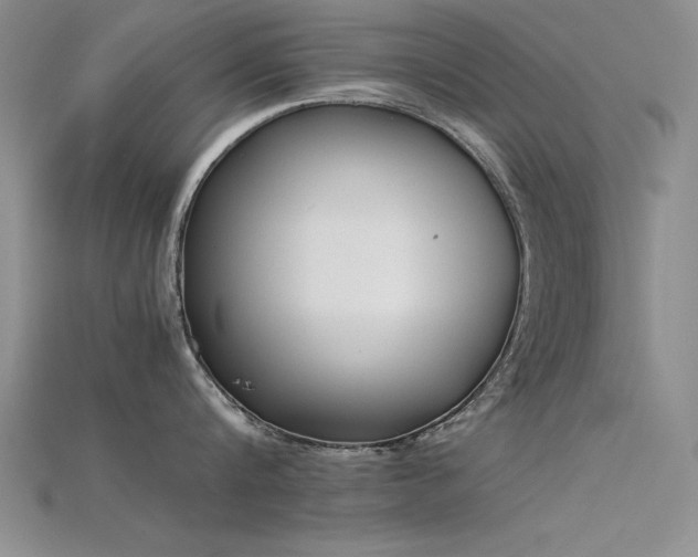 X0000115740816200911121536
