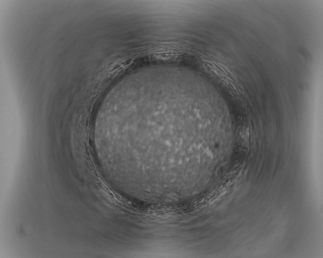 X0000115740817200911121535