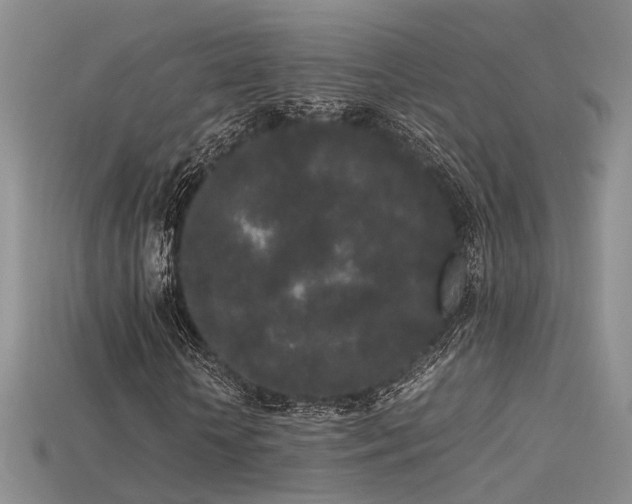 X0000115740818200911121535