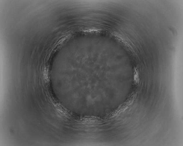 X0000115740819200911121535