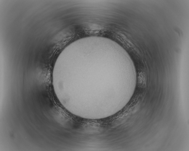 X0000115740820200911121535