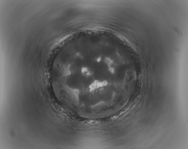 X0000115740822200911121535