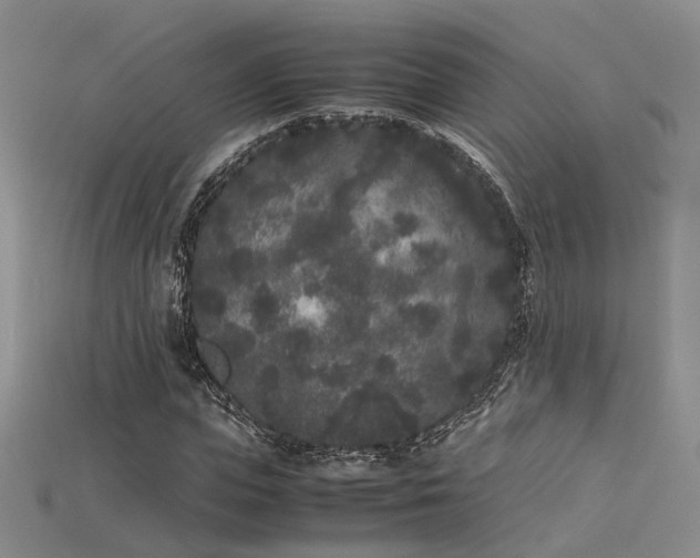 X0000115740823200911121535