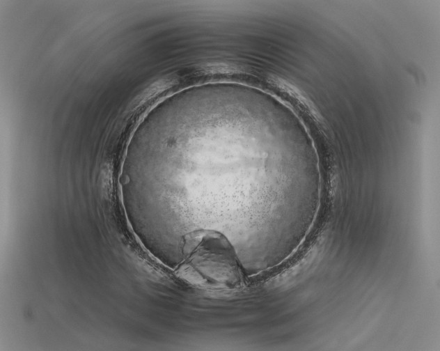 X0000115740825200911121535
