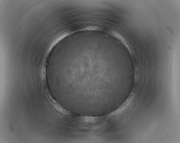 X0000115740827200911121535