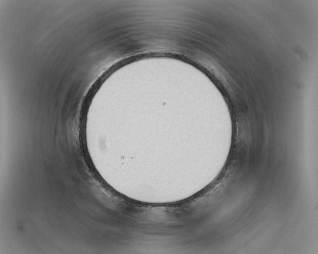X0000115740828200911121535
