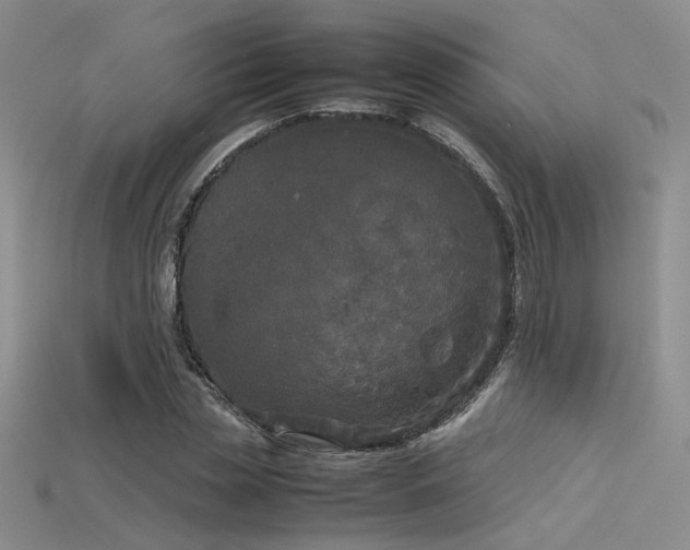 X0000115740829200911121535