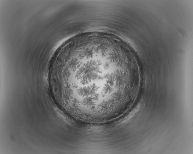 X0000115740830200911121535