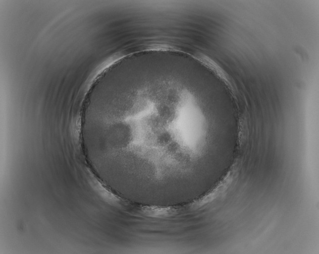 X0000115740831200911121535