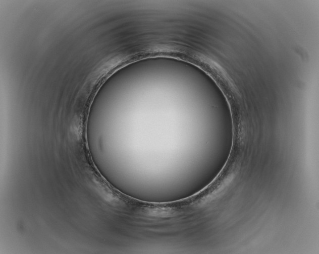 X0000115740833200911121536
