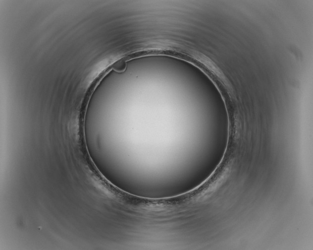 X0000115740834200911121536
