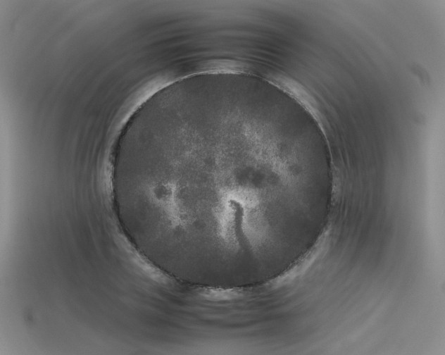 X0000115740835200911121536