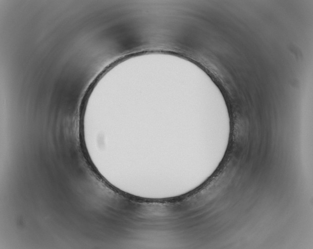 X0000115740836200911121536