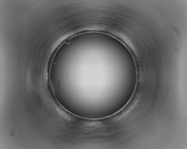 X0000115740837200911121536