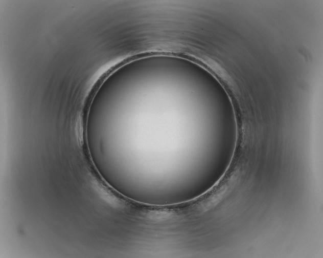 X0000115740838200911121536