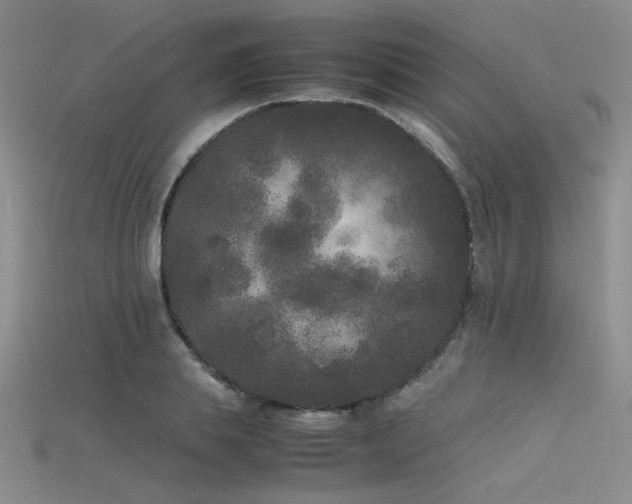 X0000115740839200911121536