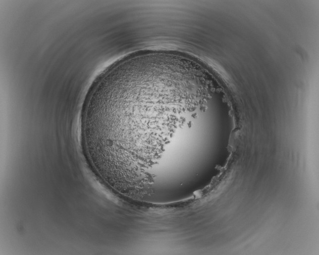X0000115740840200911121536