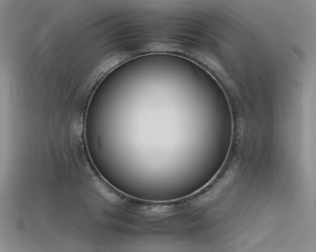 X0000115740841200911121536