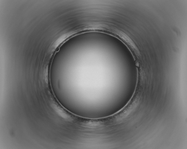 X0000115740842200911121536
