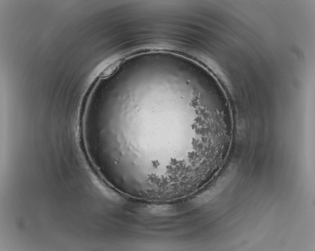 X0000115740845200911121536