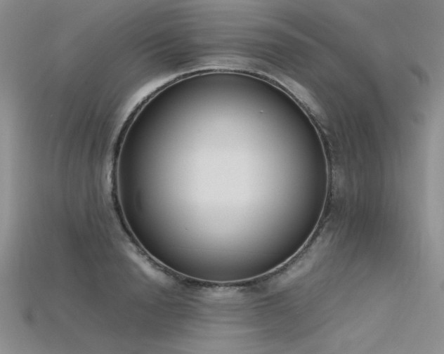 X0000115740846200911121536