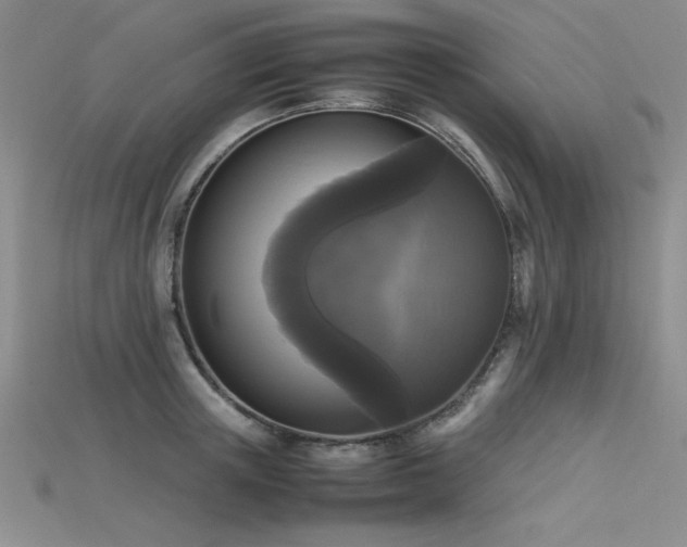 X0000115740851200911121536