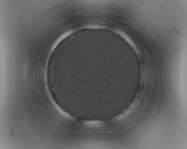 X0000115740853200911121536