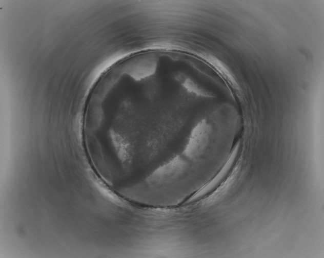 X0000115740854200911121536