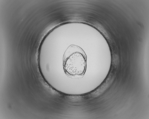 X0000115740856200911121536