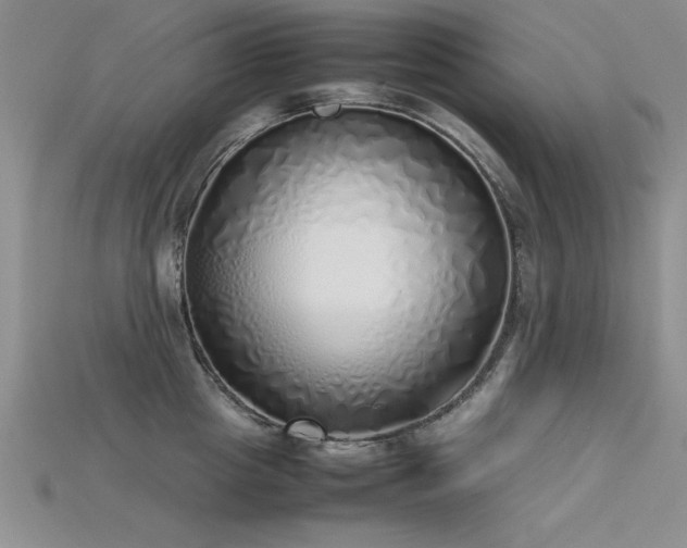 X0000115740857200911121536