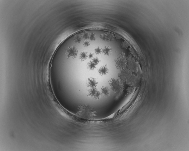 X0000115740858200911121536