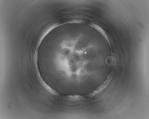X0000115740859200911121536
