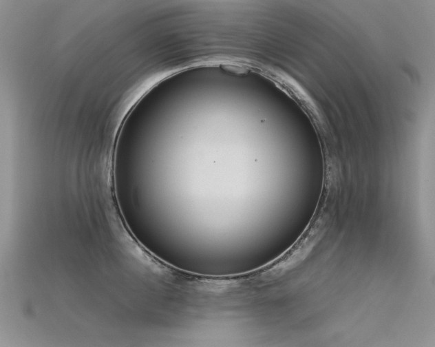 X0000115740860200911121536