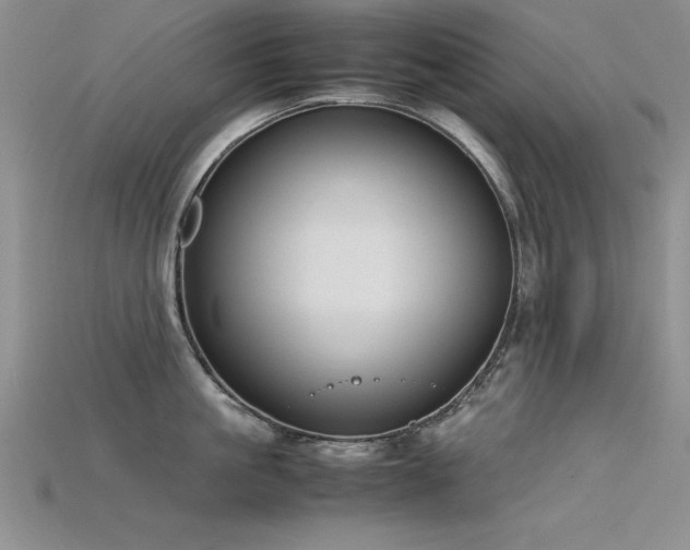 X0000115740861200911121536