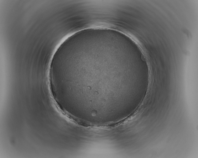 X0000115740864200911121536