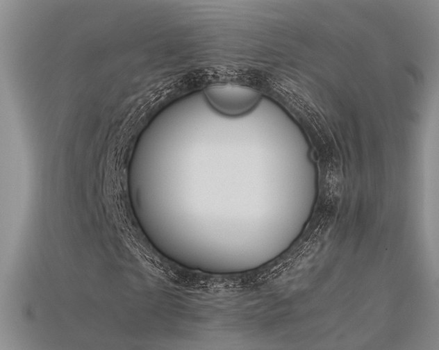 X0000115740865200911121535