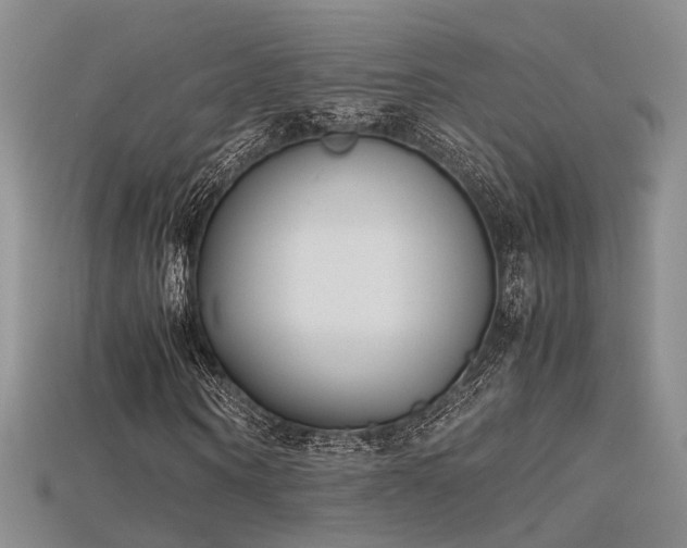 X0000115740866200911121535