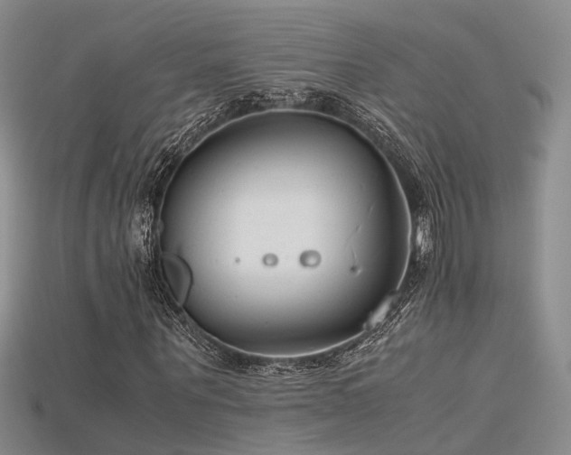X0000115740867200911121535