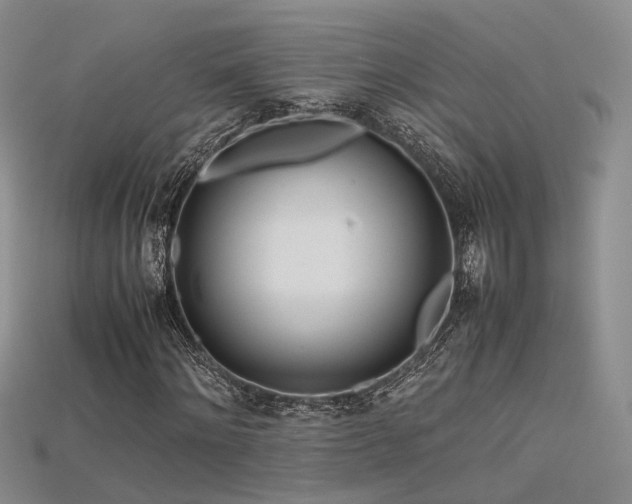 X0000115740868200911121535