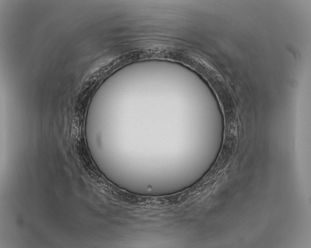 X0000115740869200911121535