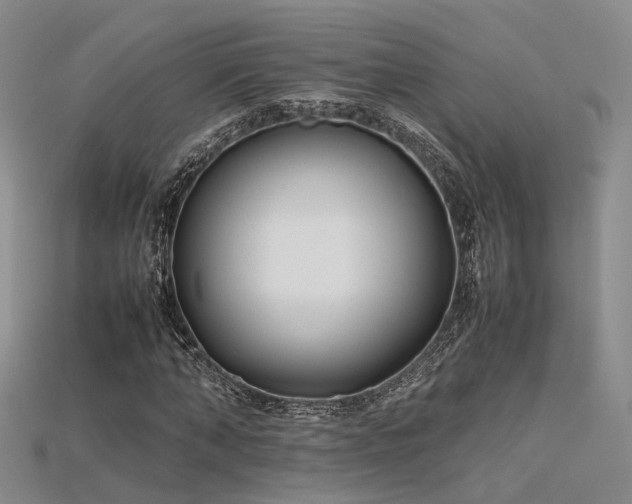 X0000115740870200911121535