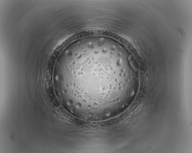 X0000115740871200911121535