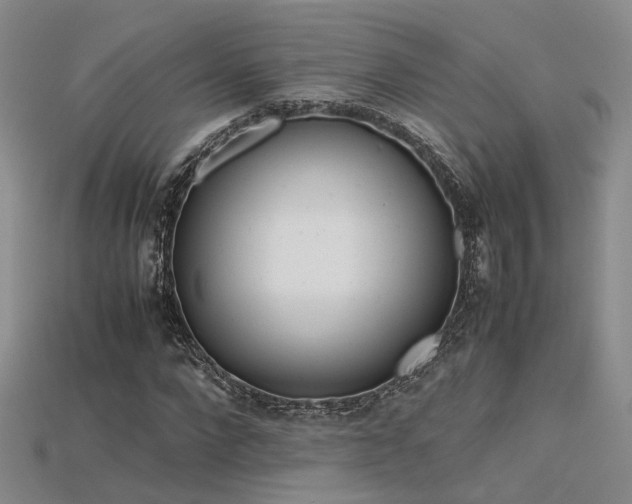 X0000115740872200911121535