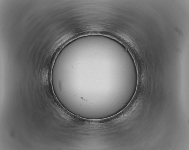 X0000115740873200911121535