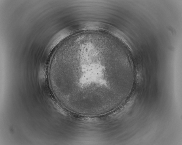 X0000115740874200911121535